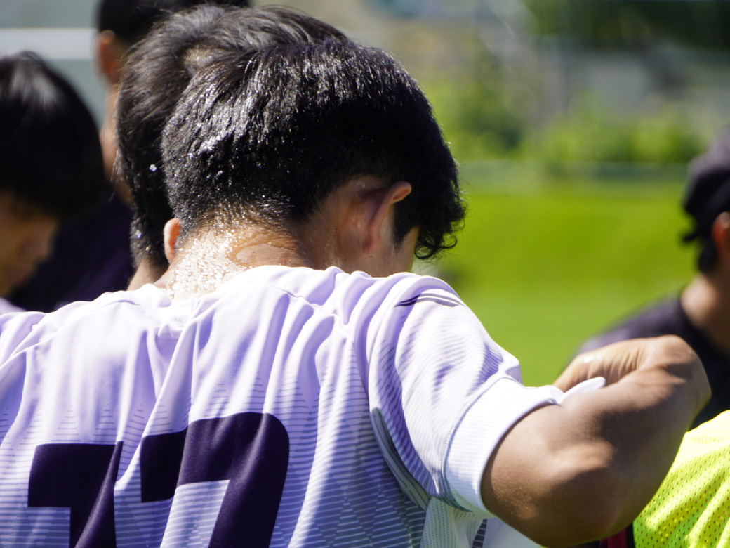 育成部概要画像